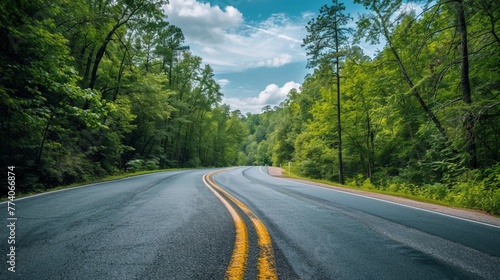 A scenic asphalt road winding through a lush forest of vibrant green trees, the azure sky stretching overhead © usama