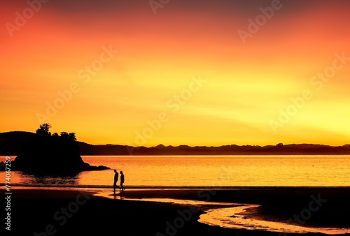 Breathtaking view of Tutukaka Coast and yellowish-orange sky during golden hour in New Zealand photo