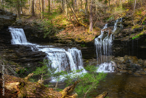 Spring at Ricketts Glen State Park in Benton PA. Known for its 21 waterfalls and old-growth forest and boulders. Hiking the loop on a cold Spring Day.