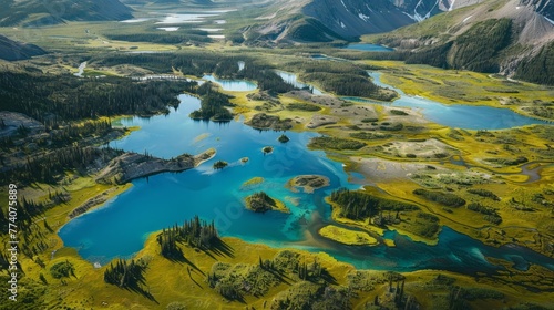 Aerial image of the Jasper National Park area, Alberta, Canada 