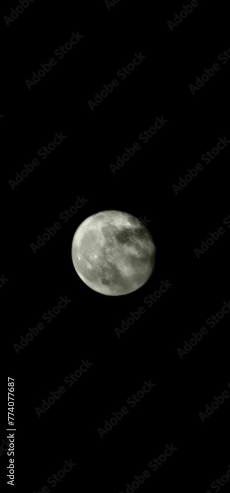 Vertical shot of the full moon in the dark black sky covered with a shadow Vertical shot of the full moon in the dark black sky covered with a shadow