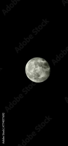 Vertical shot of the textured gray full moon in a night sky