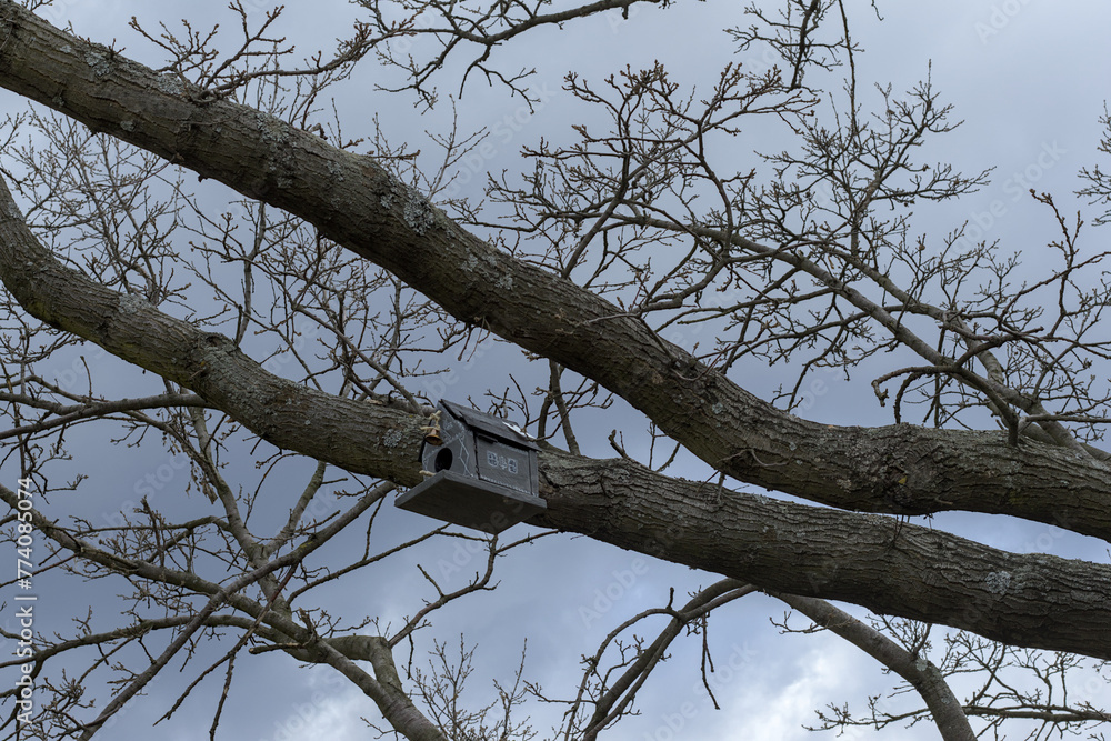 bird feeder on a tree branch