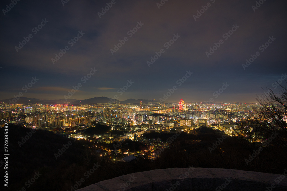 Obraz premium Stunning Night View of urban Seoul City from the Mountain Top