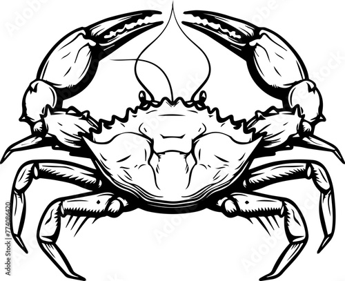 Black Crab Vector Illustration Graphic