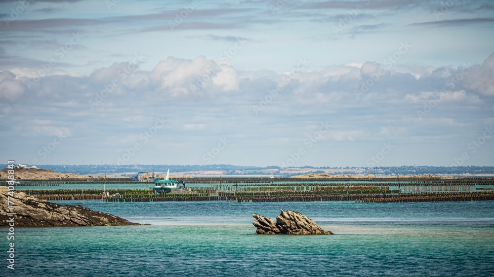 Waterscape with an oyster farm in the background