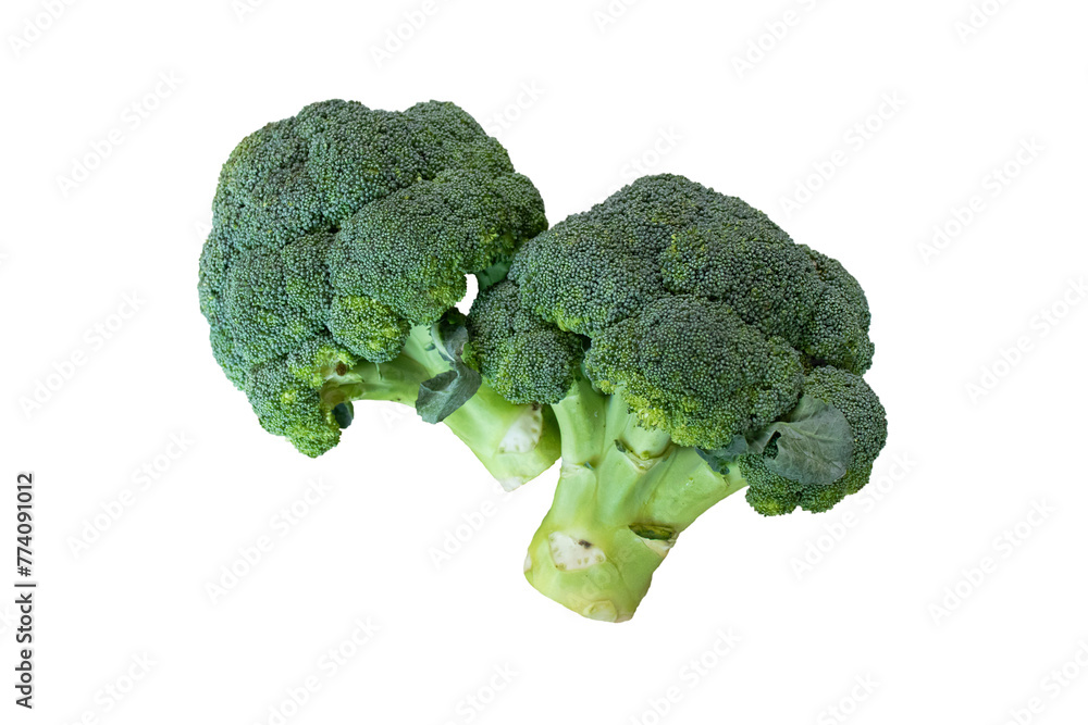 Fresh raw broccoli isolated on white background. Fresh raw broccoli isolated on white background.