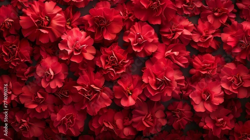 bright red carnation background Each delicate petal adds to the intricate beauty of the scene. This creates an eye-catching composition that appeals to the senses.
