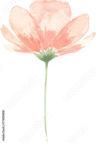 Peachy Watercolor Flower. Isolated element for design.