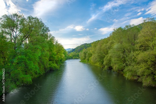 Natural view of calm river and forest landscape under a sunny day