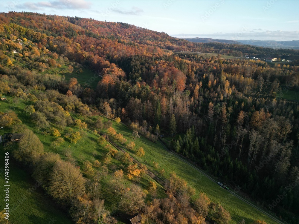 Aerial shot of a mountainside in a park and a road surrounded by orange autumn trees