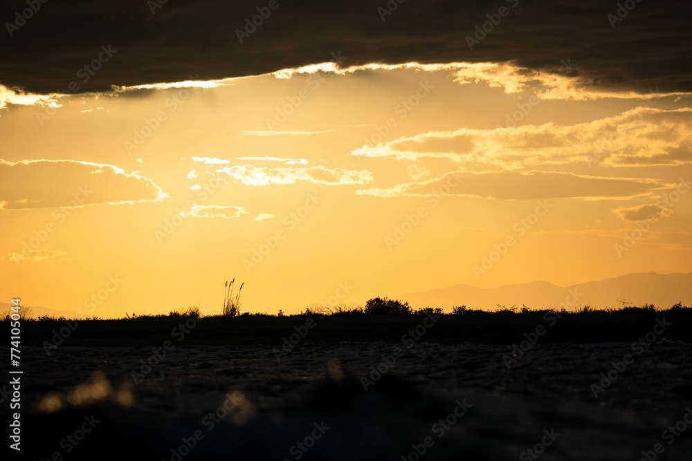 Aerial view of greenery field during sunset Aerial view of greenery field during sunset