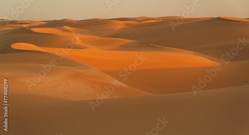 Minimalistic landscape of a desert at sunset - great for a wallpaper