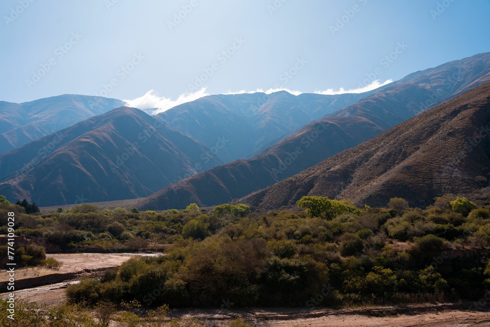 Volcanic rocky mountains with the dense trees in Jujuy, Argentina