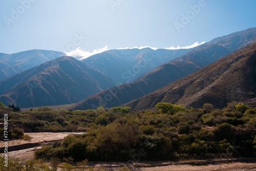 Volcanic rocky mountains with the dense trees in Jujuy, Argentina