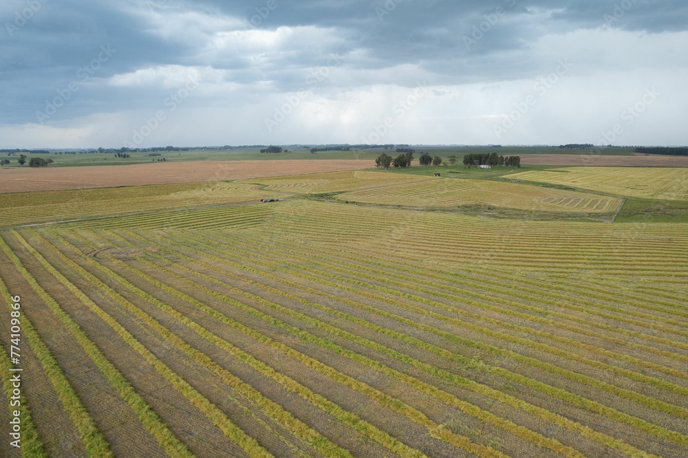 Aerial shot of an agricultural field under a cloudy sky