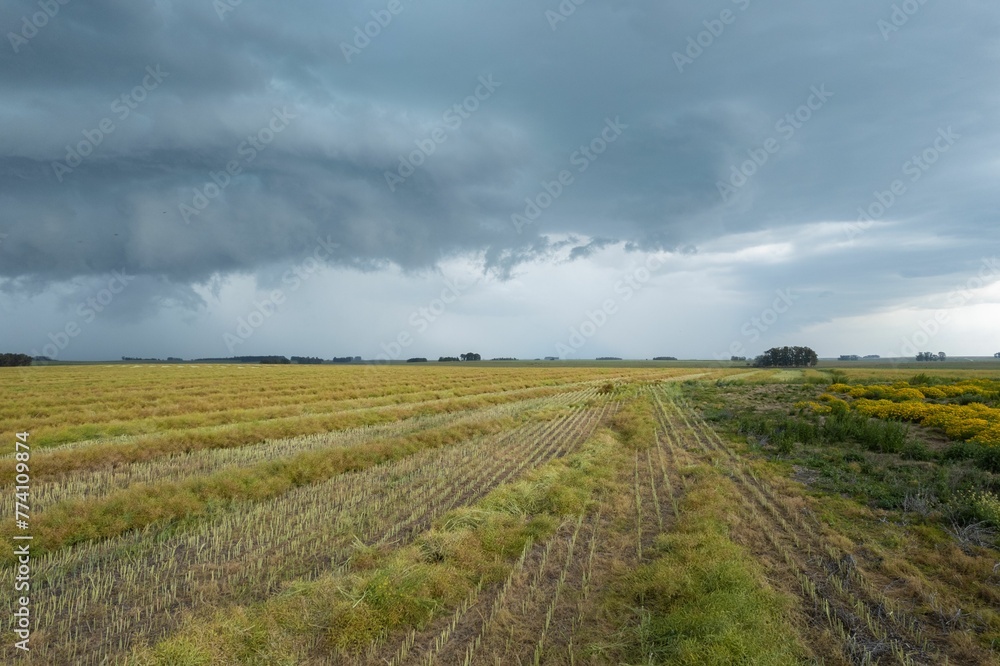 Beautiful shot of an agricultural field under a cloudy sky