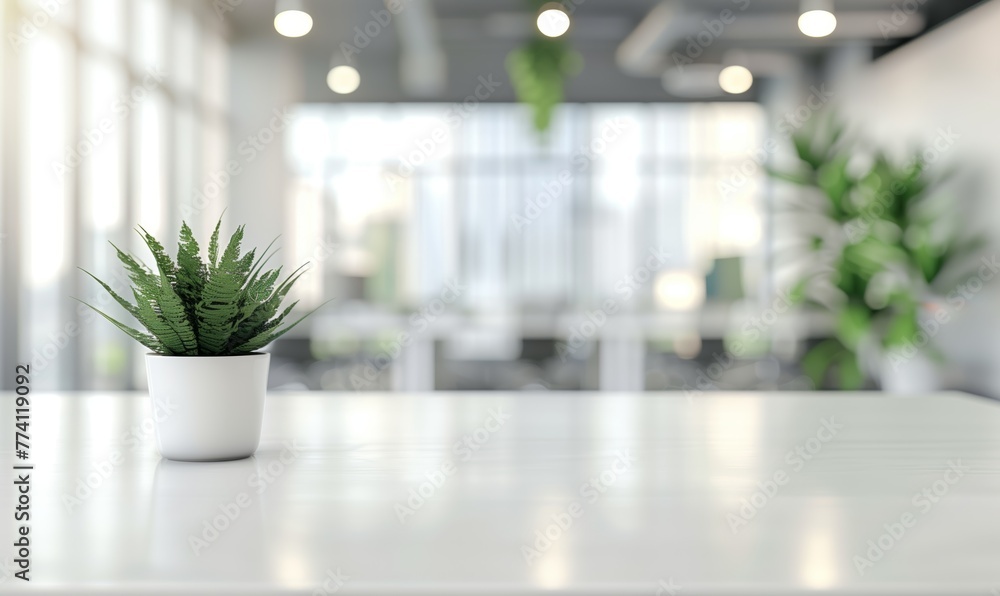Potted Fern on Table in Bright, Modern Office Close-Up Potted Fern on Table in Bright, Modern Office Close-Up