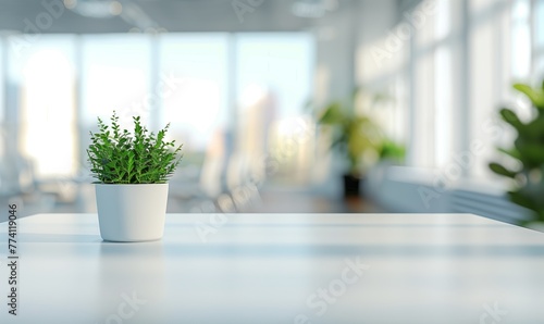 Minimalist Office Scene with Vivid Green Potted Plant