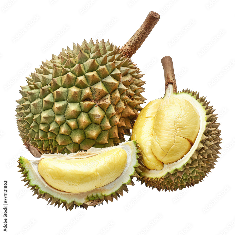 Obraz premium durian isolated on white background