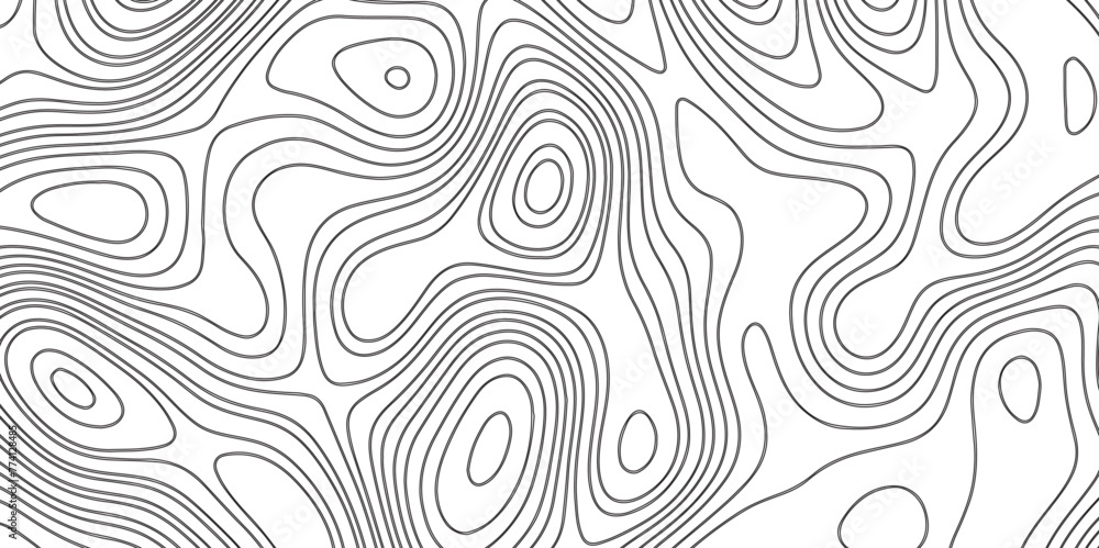 Modern Abstract topographic contours 3d map background. White background with topographic wavy pattern design. Black on white contours vector topography stylized height of the lines.