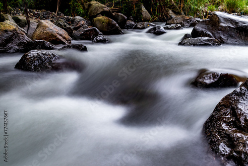 stream in the forest © Johnster Designs