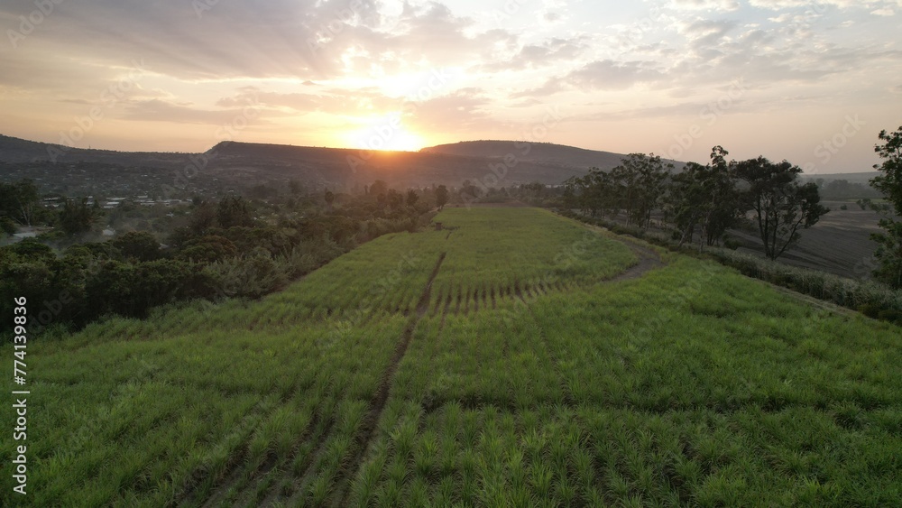 Obraz premium default