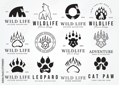 predatory bear badge logo vector illustration design