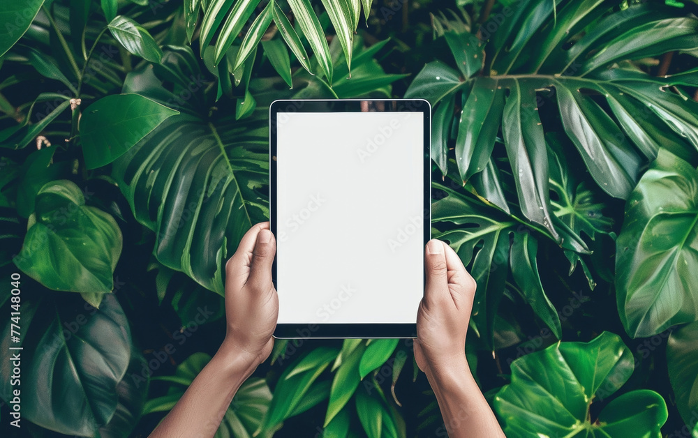 A tablet with a white screen is held in hands amid lush, verdant tropical foliage, creating a natural and serene backdrop. A tablet with a white screen is held in hands amid lush, verdant tropical foliage, creating a natural and serene backdrop.