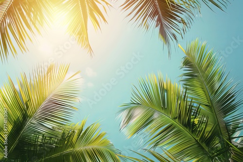Palm Tree On Blue Sky Background © Sami