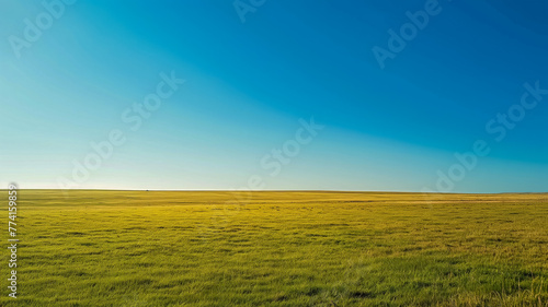 Sunrise casting golden light over an endless prairie and a clear blue sky.