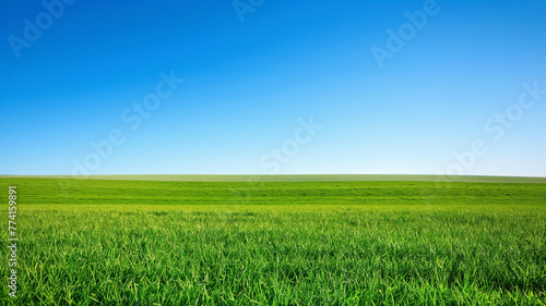 Lush green field under a clear blue sky, the epitome of tranquility.