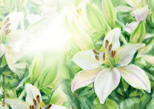 White lilies  floral background. Watercolor illustration.