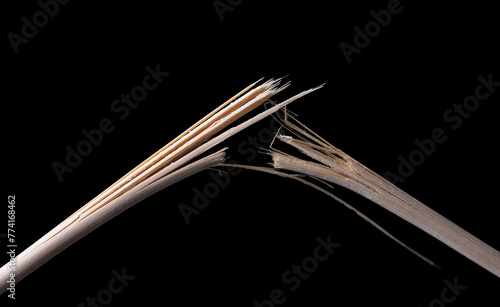 Broken wooden stick isolated on black background photo