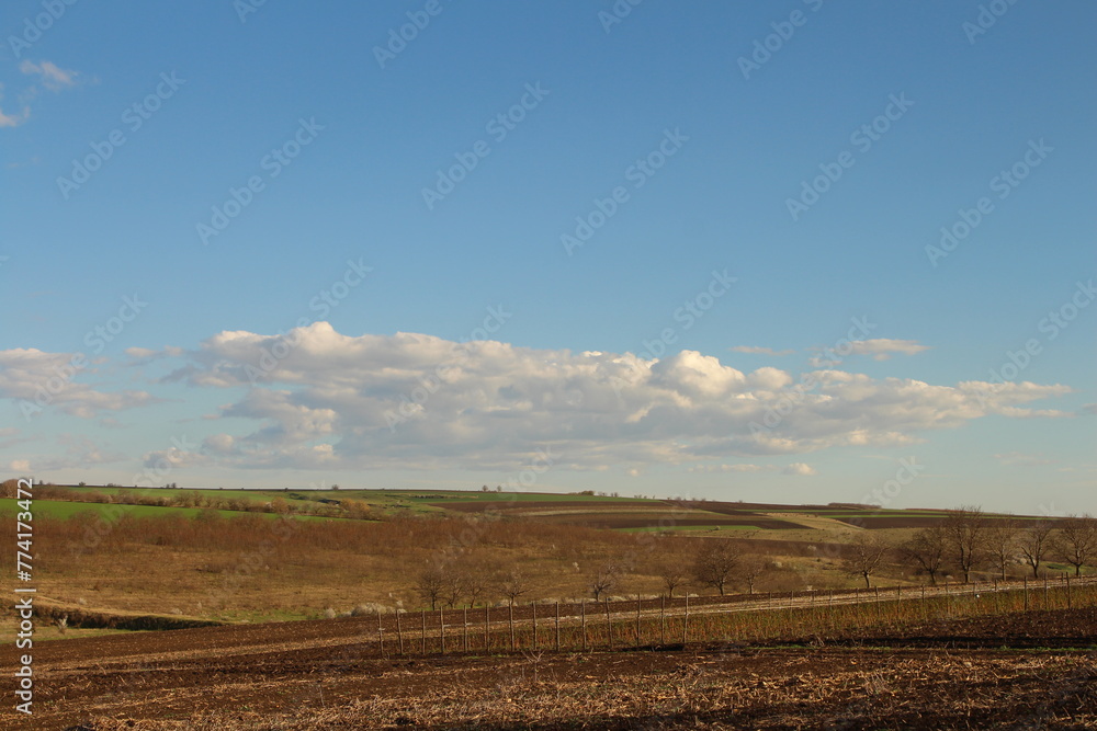 A field with a fence and blue sky