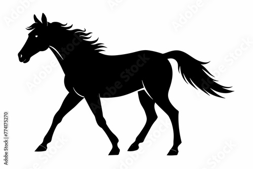 Appaloosa horse silhouette black vector illustration