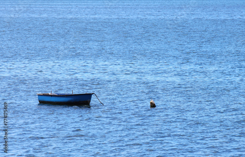 A small blue fishing boat close to the coast. Large copyspace. © TopMicrobialStock