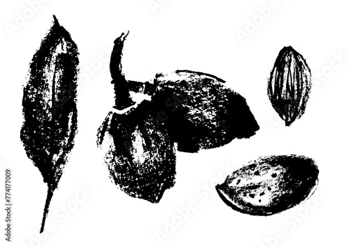 Vector hand-drawn illustration almonds. Black charcoal drawing of almond nut for marzipan paste label design or almond butter packaging. Botanical sketch for ketogenic diet banner.