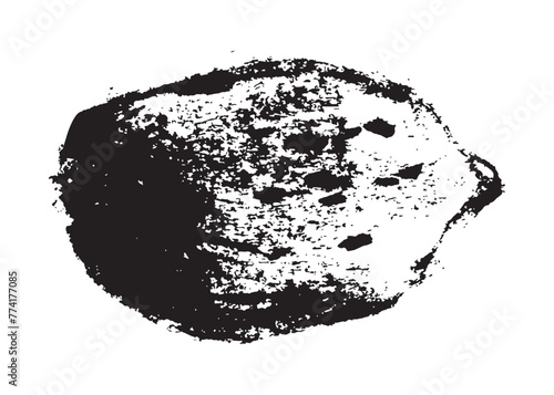 Vector hand-drawn illustration almonds. Black charcoal drawing of almond nut for marzipan paste label design or almond butter packaging. Botanical sketch for ketogenic diet banner.