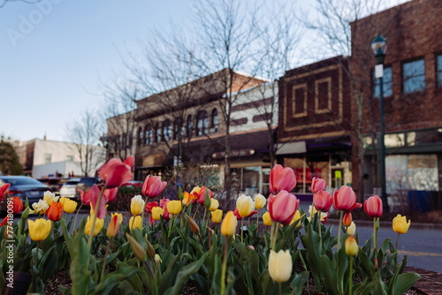 Beautiful streets in old American small town on sunny spring day. Landscaping design with colorful tulips in small city. The day before Easter in Hendersonville, North Carolina, USA - 30 March 2024