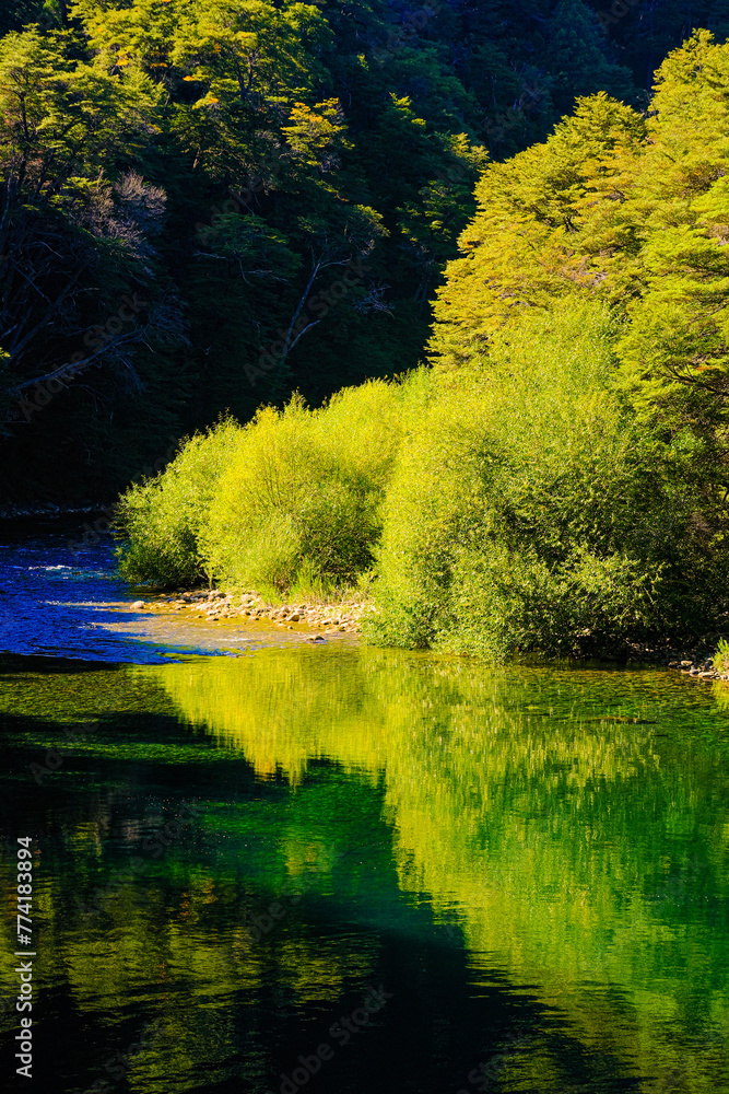 Reflection on Rio Manso river of Route 40 in autumn, green and yellow colors reflected in a clear water. Patagonia Argentina