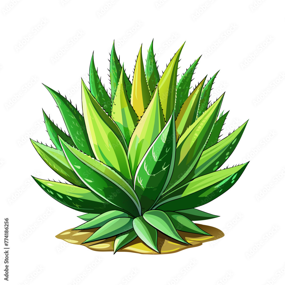 aloe vera plant art drawn for decor aloe vera plant art drawn for decor