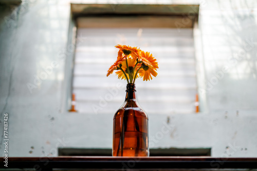 gerbera flower blooming in vase bottle decoration in room © nutt