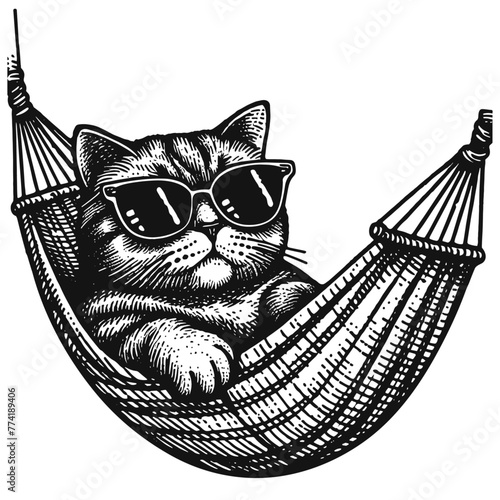 cat resting in a hammock illustration