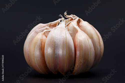 garlic bulb and clove on dark background © nutt
