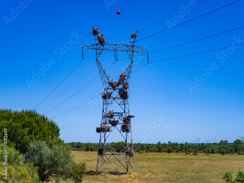 White stork nests on an iron electrical structure in a field, Portugal