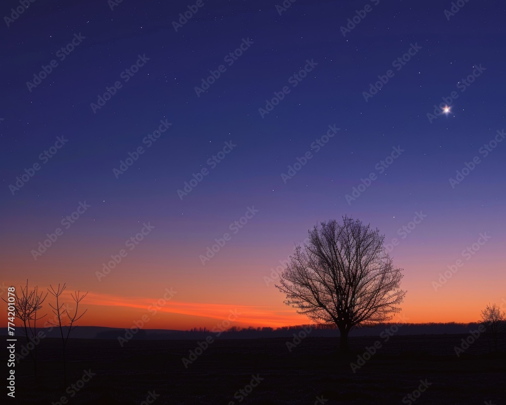 Bright Venus shines in the twilight sky Bright Venus shines in the twilight sky