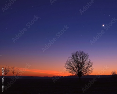 Bright Venus shines in the twilight sky