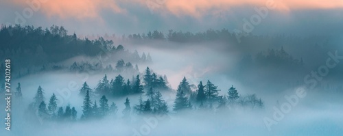Dense fog at dawn © WARIT_S