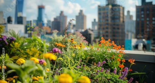 Fototapeta Naklejka Na Ścianę i Meble -  Vibrant urban garden on a rooftop, with a variety of plants and flowers against the backdrop of the city, symbolizing the reclaiming of urban spaces for nature.